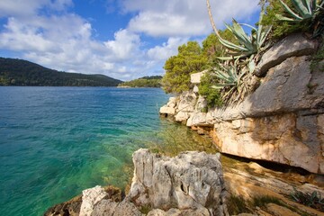 Rocky coast with agave plants in National Park Mljet, Croatia