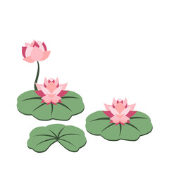 Illustration of a Lotus Flower Plant