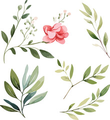Set of watercolor red floral elements on white background. Floral poster, invitation, greeting cards or invitations