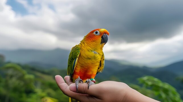 Generative AI : Sun conure parrot or bird Beautiful is aratinga has yellow on hand background Blur mountains and sky