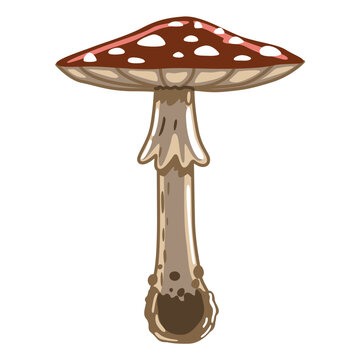 recommend clip art: Cartoon amanita mushroom.
