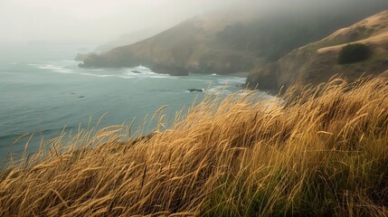 Generative AI : Golden Veldt grass with incoming fog on a windy day along the California coast.