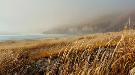 Deurstickers Generative AI : Golden Veldt grass with incoming fog on a windy day along the California coast. © The Little Hut