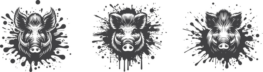 wild boar heads in paint splash
