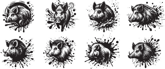 Profile Portraits of Boars on Paint Splash Background