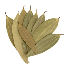 Hole bay leaves used in cooking 