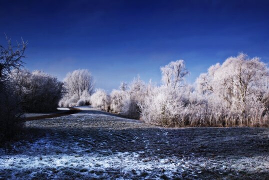 The sight of a meadow surrounded by trees and covered with snow in the early winter