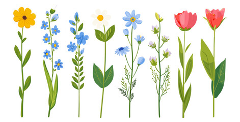 春の花。漫画の野生の花カモミール、チューリップ、忘れな草、ヤグルマギクとセージの葉、花の植物要素。庭の花のベクトルを設定 - obrazy, fototapety, plakaty