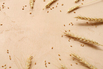 Wheat ears and grains on beige background
