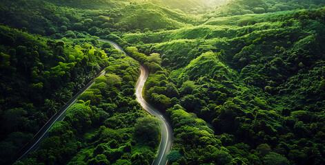 aerial shot, winding road in the forest	
