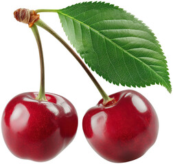 cherry with leaves