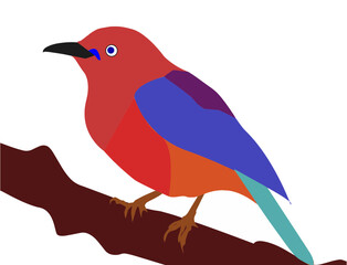 A colorful bird is perched on a branch