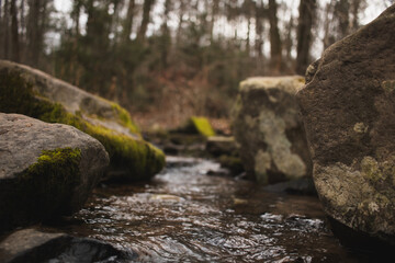 Mossy rocks in a stream with forest in soft background