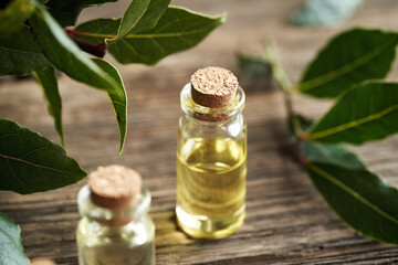 Aromatherapy essential oil with fresh bay leaf on a table