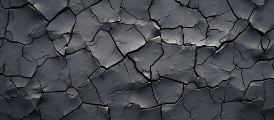 A close up of a cracked grey road surface with a pattern resembling twigs. The monochrome photography captures the composite material landscape with soil