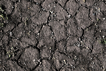 ひび割れた地面２