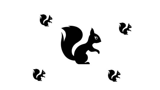 Zoom in and out animation the squirrel symbol. Large black symbol in the center and four small symbols around. Seamless looped 4k animation on white background