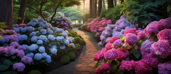 Fotobehang The garden is filled with various types of plants, including shrubs, trees, and groundcover, with colorful flowers like magenta petals blooming throughout the natural landscape © AkuAku