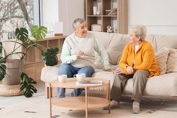 Senior female friends chatting on sofa at home