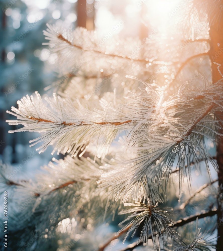 Poster a close up of a pine tree with frost on it. generative ai.