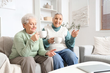 Obraz premium Senior female friends drinking tea on sofa at home