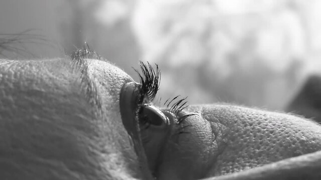 Detailed black and white photo capturing the textures around a persons eye
