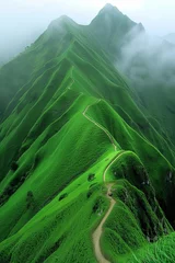 Fotobehang Tranquil misty green hills with winding path through lush vegetation in serene landscape © Ilja