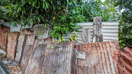 FORT-DE-FRANCE (Martinique)