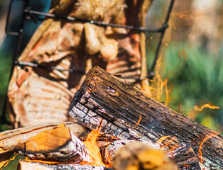 meat and fire. lamb roasted and grilled.