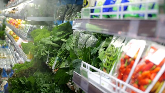 Fresh vegetables and herbs beautifully laid out supermarket shelf. Vegetables and bright salad of different types attract eye. Large selection of vegetables allows to create balanced and healthy diet.
