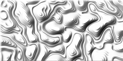 Abstract white topography vector background. Line topography map design. .Topographic contour lines vector map seamless pattern vector illustration. 