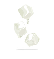 Vector illustration, nata de coco, isolated on white background.