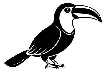 toucan silhouette vector illustration