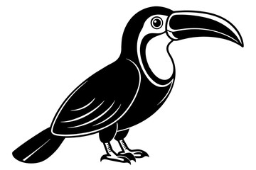 toucan silhouette vector illustration