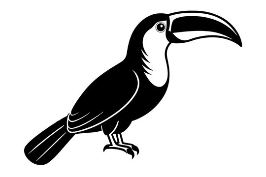 recommend clip art: toucan silhouette vector illustration