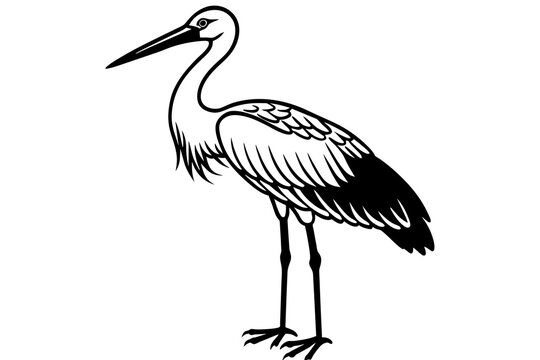 recommend clip art: stork silhouette vector illustration