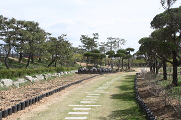 Obraz premium 장독대