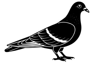 pigeon silhouette vector illustration