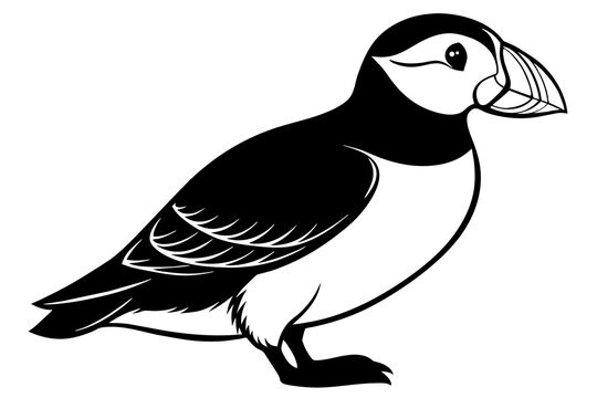 recommend clip art: puffin silhouette vector illustration