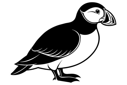 recommend clip art: puffin silhouette vector illustration