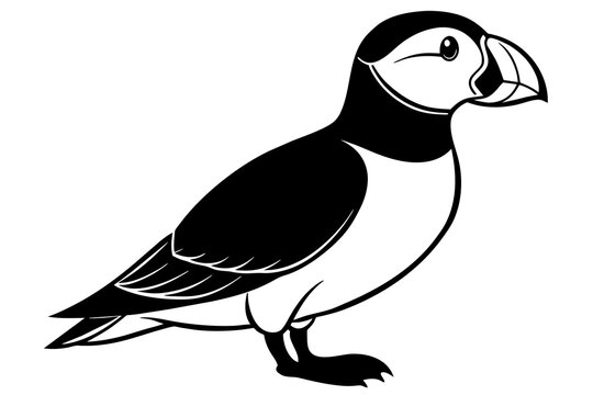 recommend clip art: puffin silhouette vector illustration