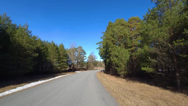 Empty winding road through a serene pine forest with patches of melting snow under a clear blue sky