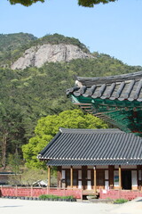 사찰