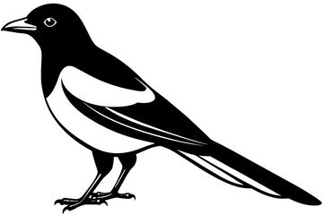 magpie silhouette vector illustration
