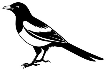 magpie silhouette vector illustration