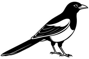 Obraz premium magpie silhouette vector illustration