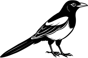 Obraz premium magpie silhouette vector illustration