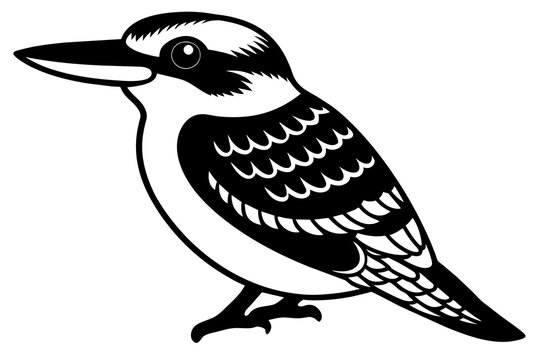 recommend clip art: kookaburra silhouette vector illustration