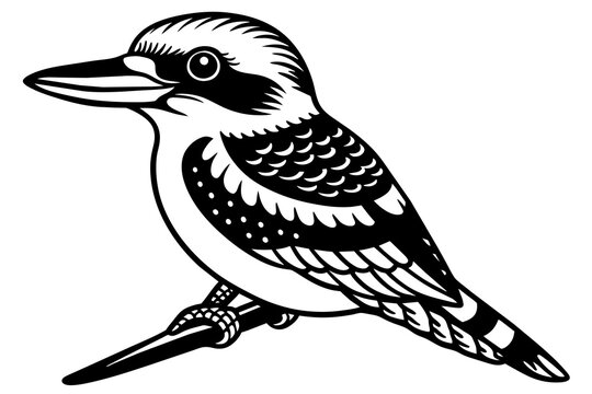 recommend clip art: kookaburra silhouette vector illustration