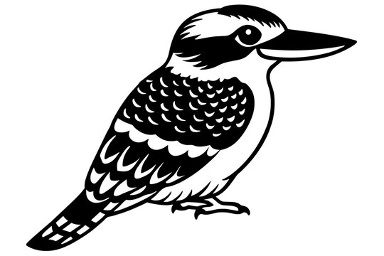 recommend clip art: kookaburra silhouette vector illustration